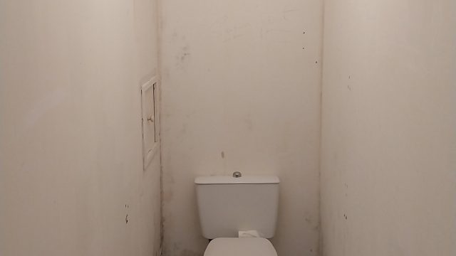 WC avant travaux, murs tachés et luminaire ancien